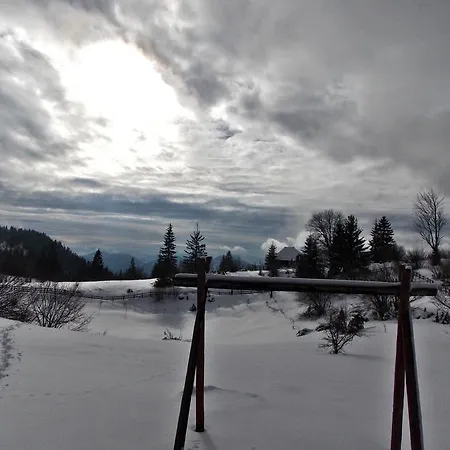 Dom wakacyjny Planinska Koliba *